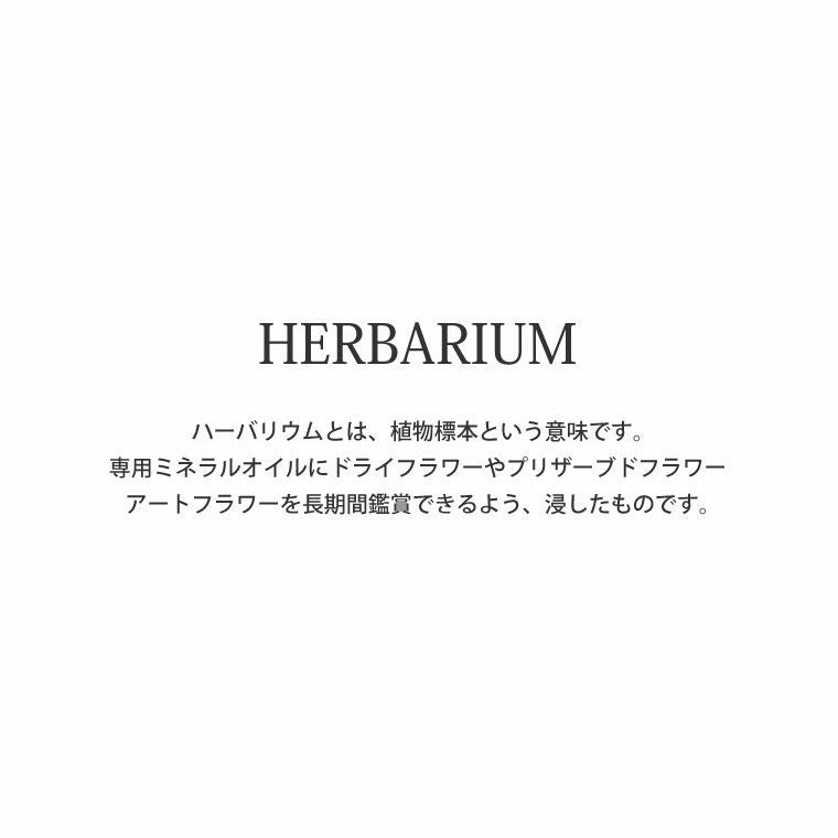 金魚ハーバリウム・Sサイズ