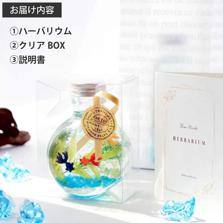 金魚ハーバリウム・Sサイズ』｜横浜花まりか フラワーギフト店