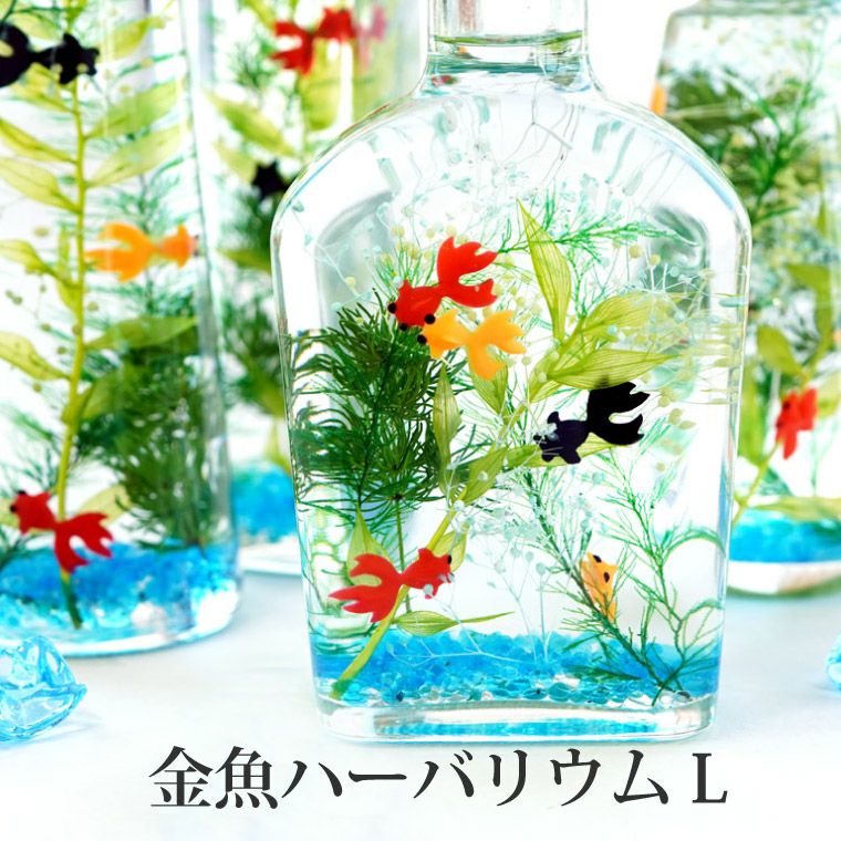金魚ハーバリウム・Lサイズ』｜横浜花まりか フラワーギフト店