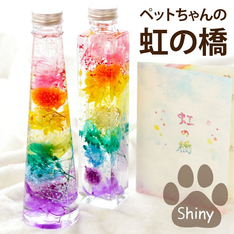 ◆ハーバリウム　260  カラフルキャンディフラワー*.:。✿*゜¨ ペットちゃんの虹の橋 ハーバリウム シャイニー』 お供え | 横浜花