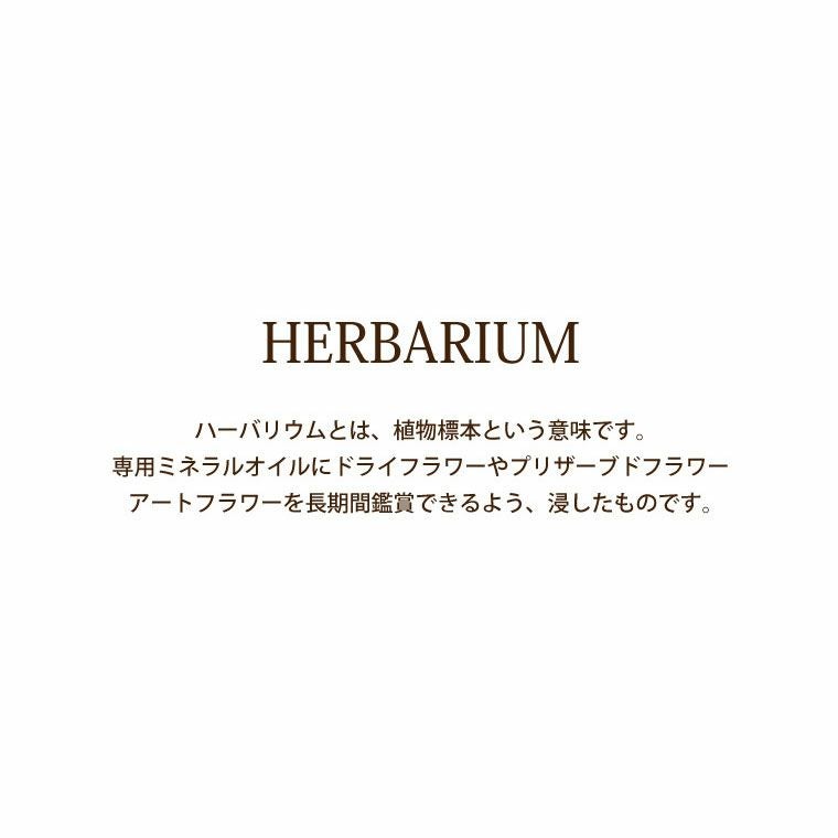 ペットちゃんの虹の橋 ハーバリウム シャイニー お供え