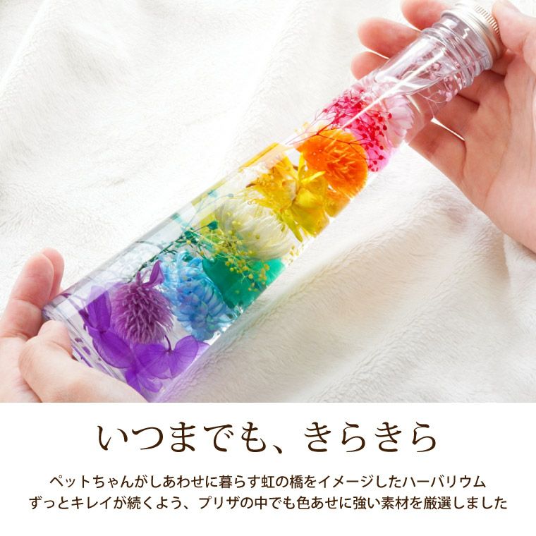 ペットちゃんの虹の橋 ハーバリウム シャイニー』 お供え | 横浜花