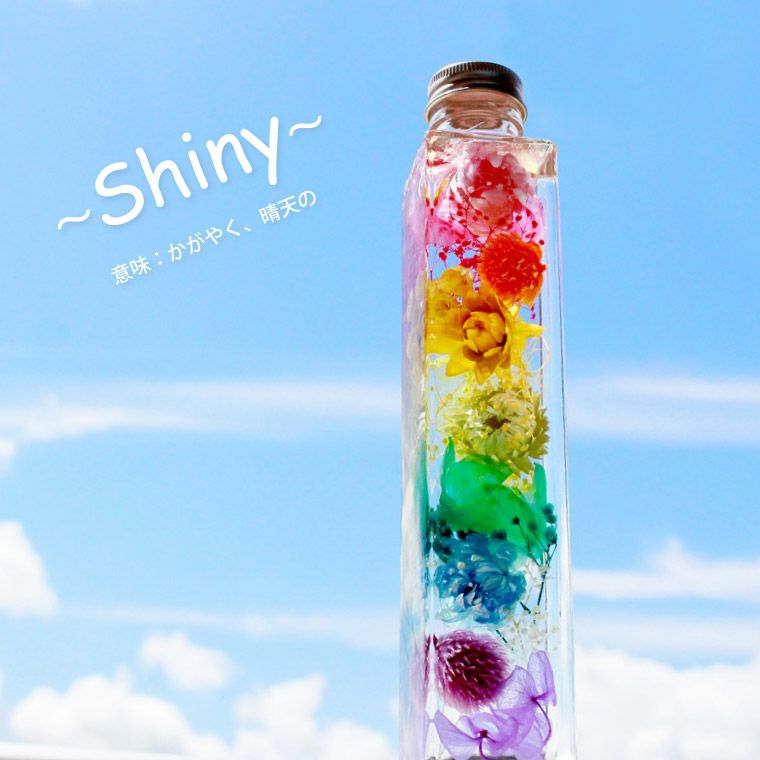 ペットちゃんの虹の橋 ハーバリウム シャイニー お供え