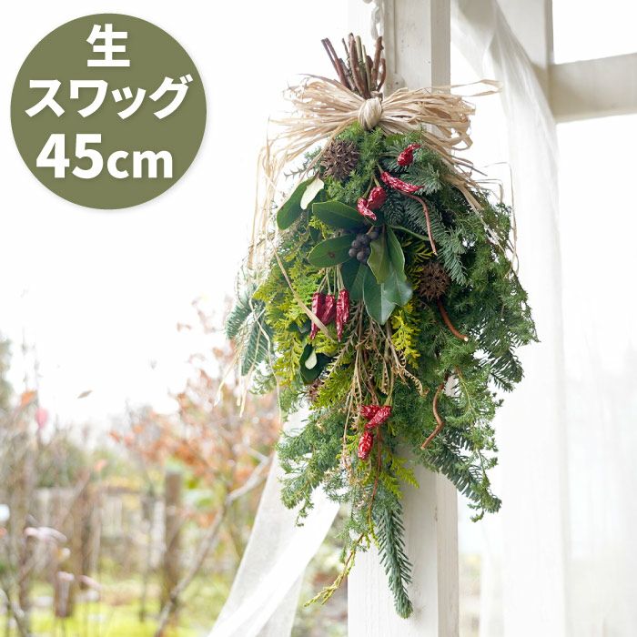 チリペッパーのナチュラルクリスマススワッグ・生 45cm』｜横浜花