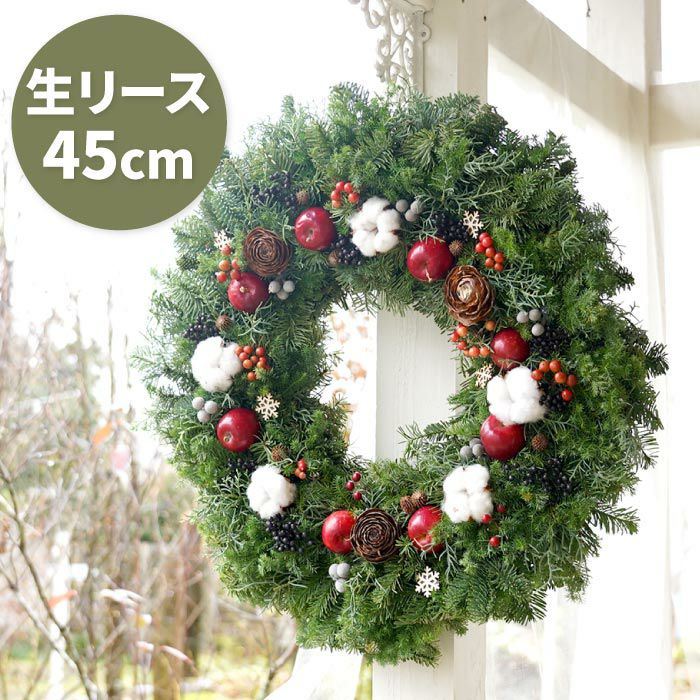 姫りんごのフォレストクリスマスリース Lサイズ・生 45cm』｜横浜花