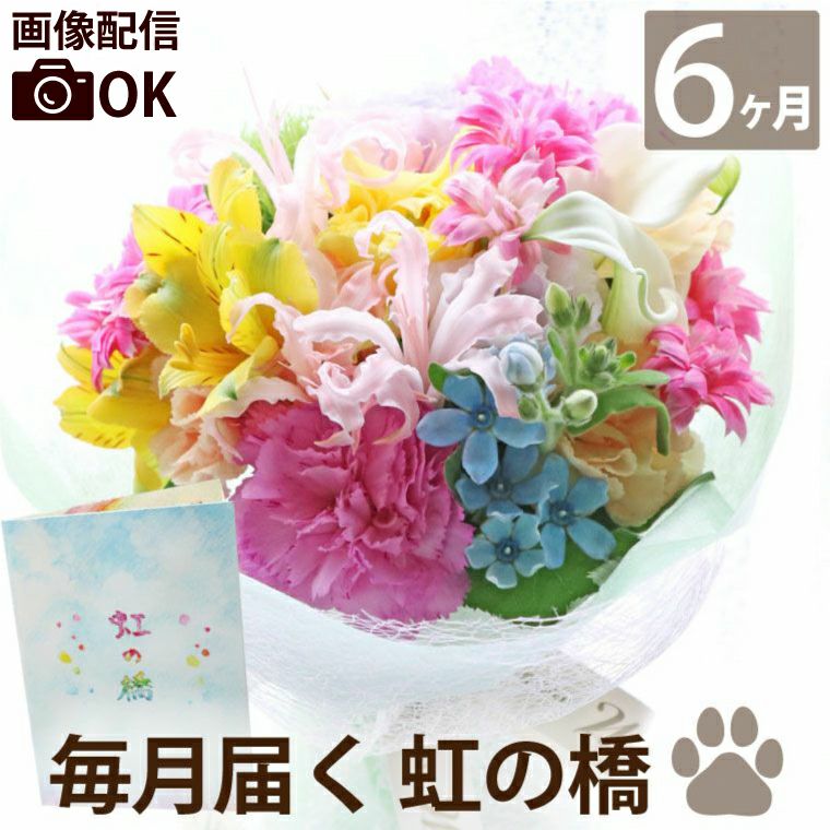 毎月お届け】『ペットちゃんの虹の橋 定期便 ふわふわコース 6ヶ月 S