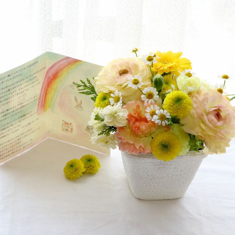 ペットちゃんの虹の橋 定期便 ふわふわコース 6ヶ月 Sサイズ お供え 生花