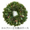 コニファーと月桃のクリスマスリース･生 30cm