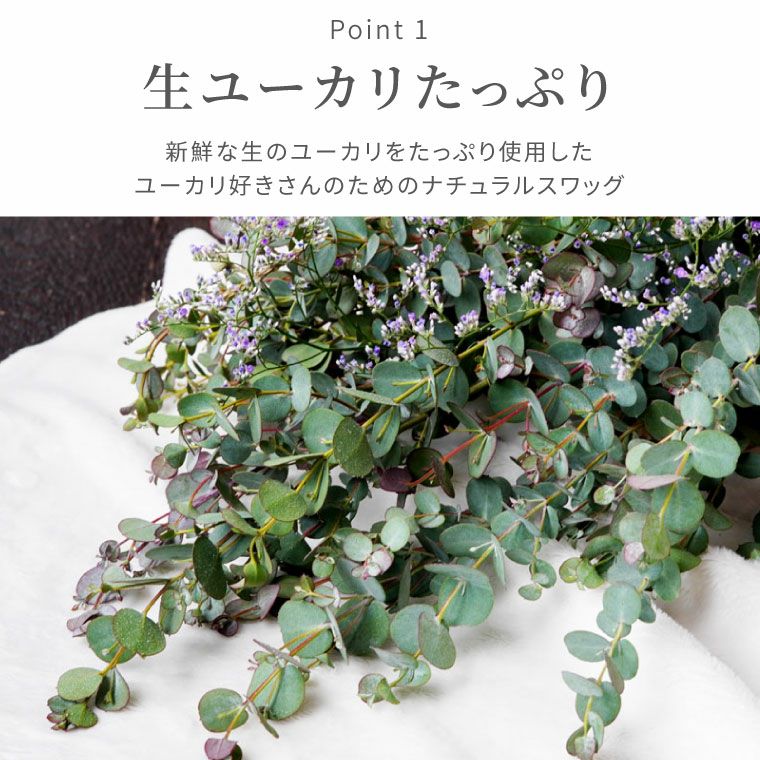 ユーカリスワッグ・生 50cm』 フレッシュ｜横浜花まりか フラワーギフト店