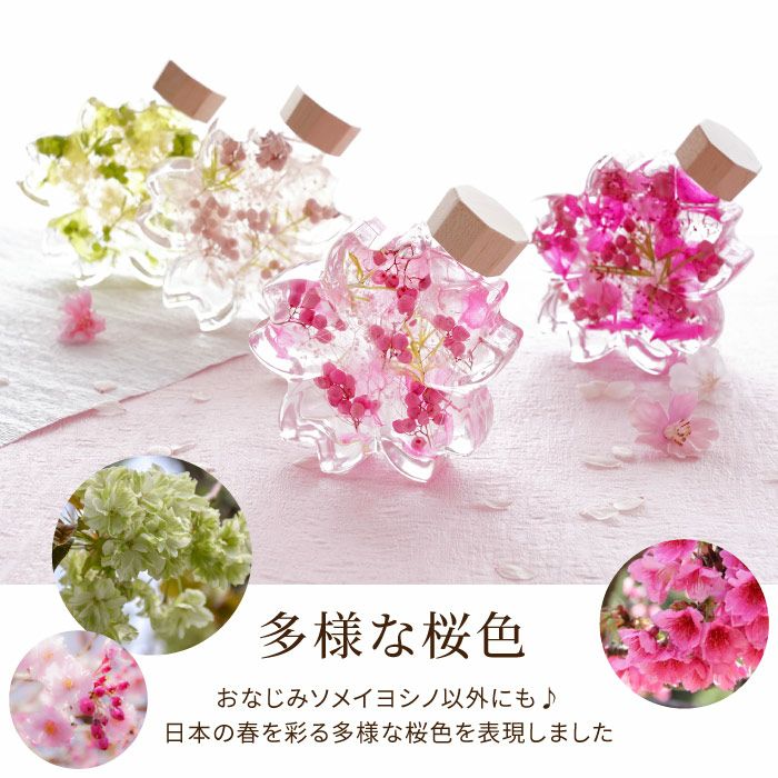 サクラノカタチ 桜ハーバリウム』｜横浜花まりか フラワーギフト店