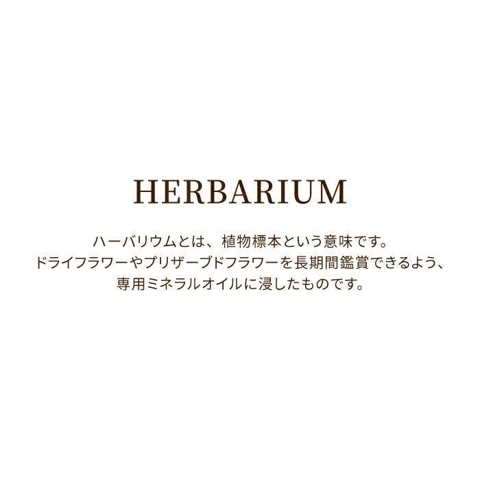 サクラノカタチ 桜ハーバリウム