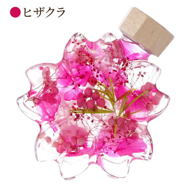 サクラノカタチ 桜ハーバリウム』｜横浜花まりか フラワーギフト店