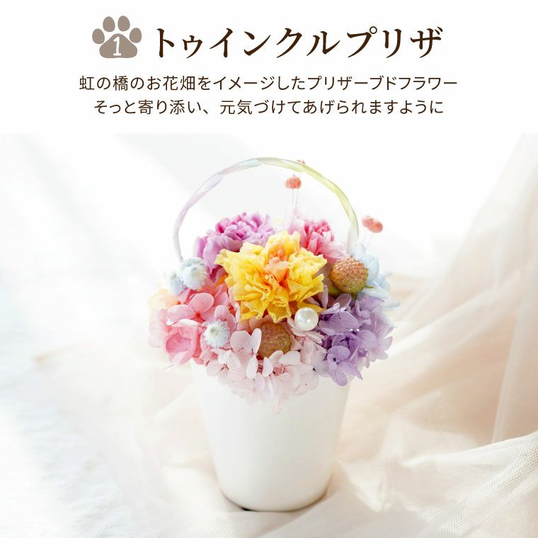 ペットちゃんの虹の橋 トゥインクル＆シャイニーセット』 お供え
