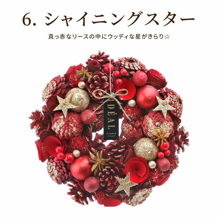 光るセレクトクリスマスリース M 25cm LED付き』 ドライフラワー｜横浜