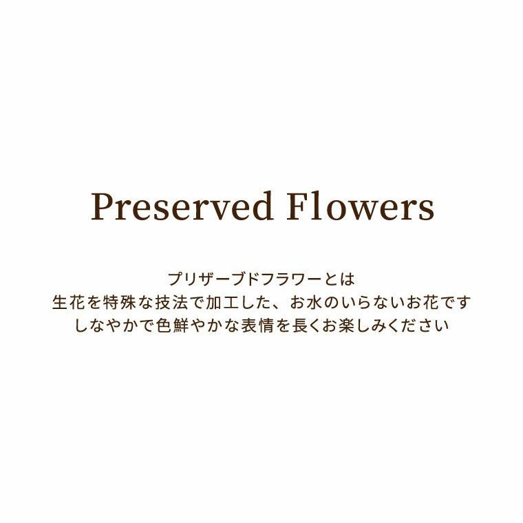 フォトボックス プリザーブドフラワー