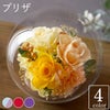 彩りバブルドーム プリザーブドフラワー