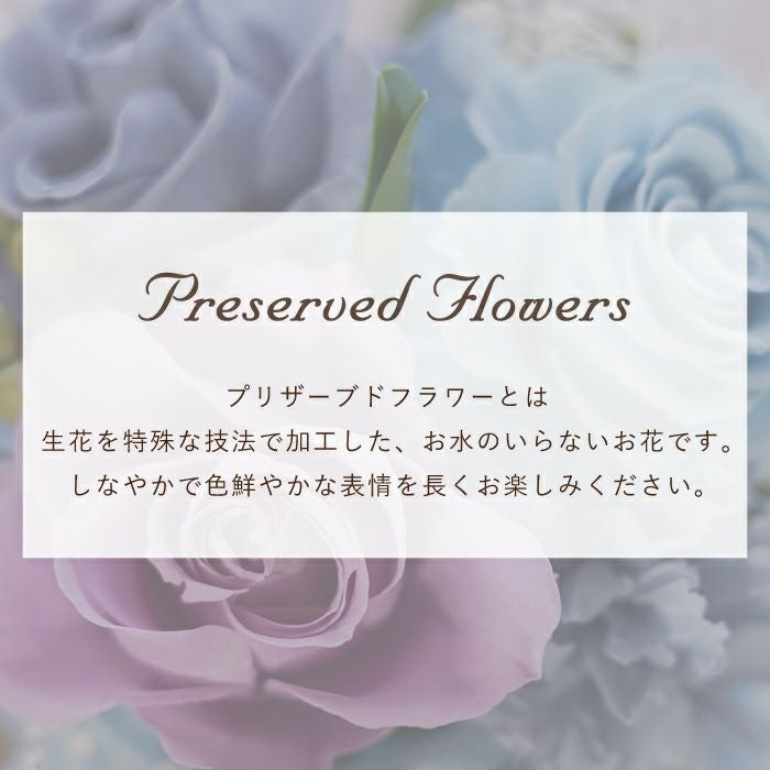 彩りバブルドーム プリザーブドフラワー