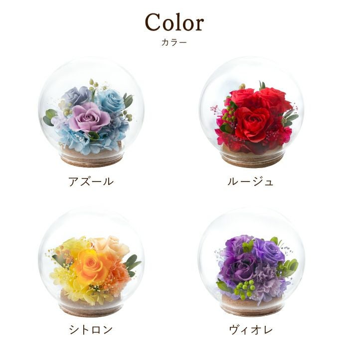 彩りバブルドーム』 プリザーブドフラワー｜横浜花まりか フラワーギフト店