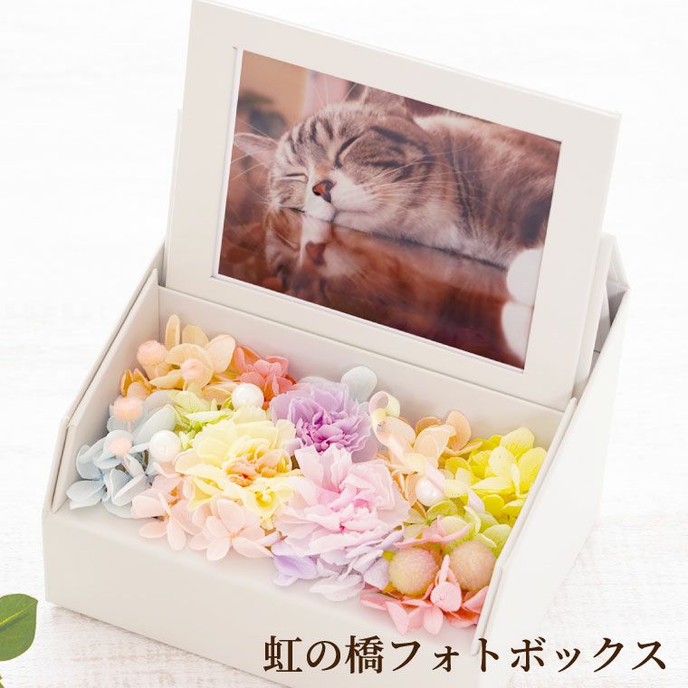 ペットちゃんの 虹の橋 フォトボックス』 お供え プリザーブドフラワー