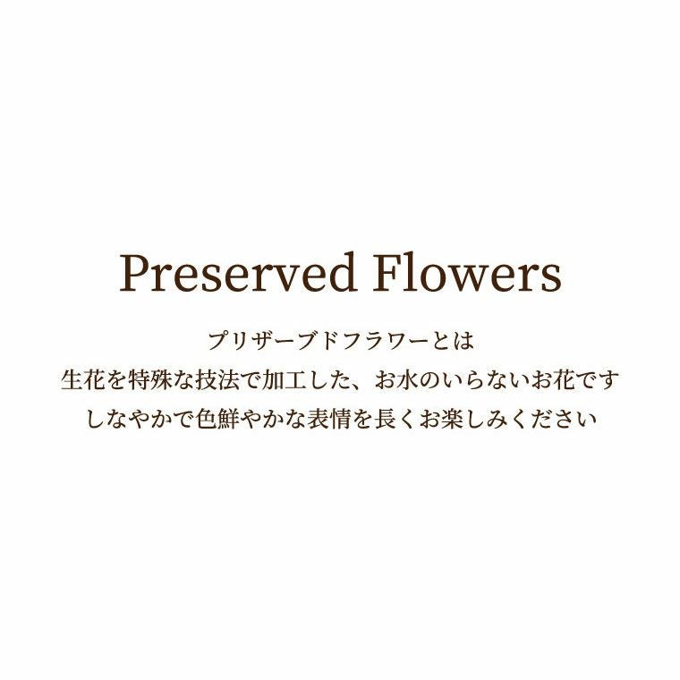 ペットちゃんの 虹の橋 フォトボックス お供え プリザーブドフラワー