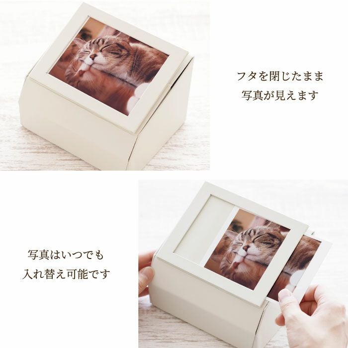 ペットちゃんの 虹の橋 フォトボックス』 お供え プリザーブドフラワー