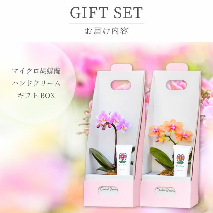 マイクロ胡蝶蘭＆オーキッドビューティハンドクリームセット』 鉢植え