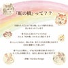ペットちゃんの虹の橋 定期便 ふかふかコース 3ヶ月 Lサイズ お供え 生花