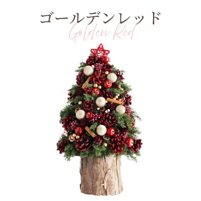 ヒムロ杉のクリスマスツリー』 ドライフラワー｜横浜花まりか フラワー