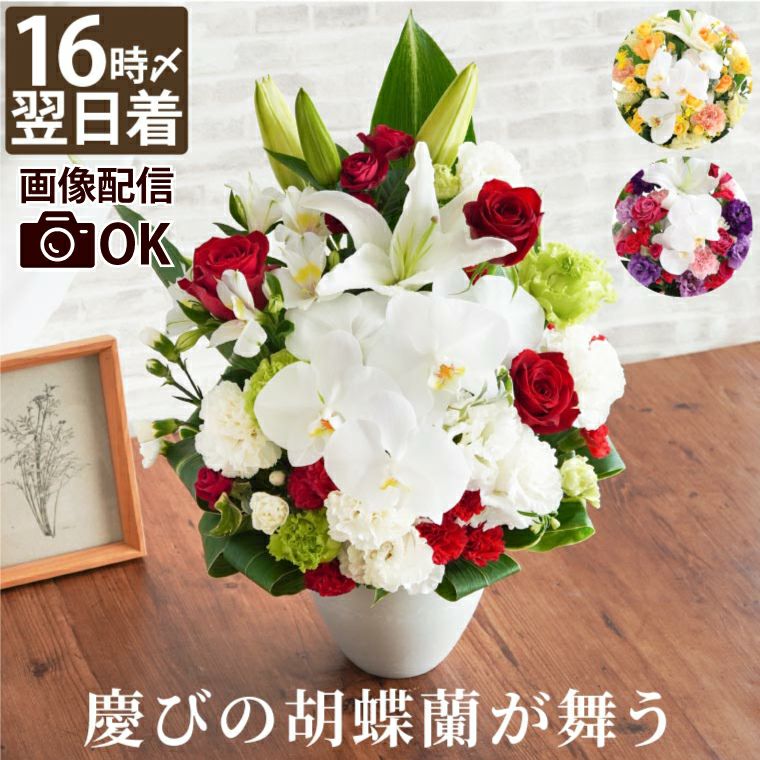 胡蝶蘭のセレブレートアレンジメント』 生花｜横浜花まりか フラワー