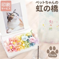 ペットちゃんの虹の橋フォトフレーム エトワール お供え プリザーブドフラワー