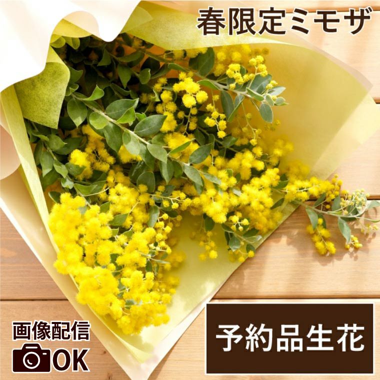 エターナルブーケ ～春限定ミモザ～』 生花 | 横浜花まりか フラワー