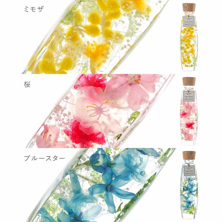 サンクスボトル ハーバリウム』｜横浜花まりか フラワーギフト店