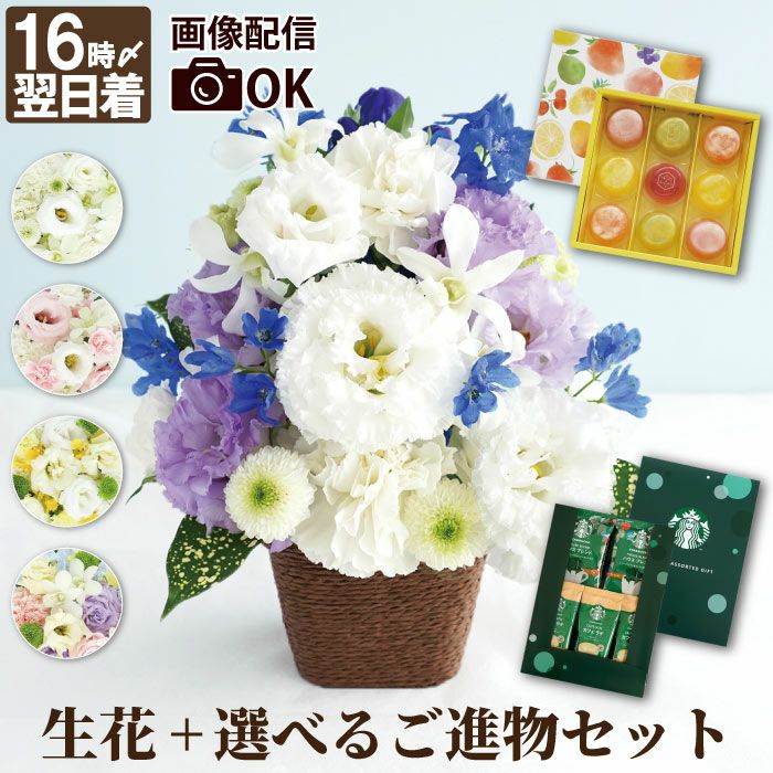 お花出品 祝い花と供花の販売 ネットの花屋 ビジネスフラワー®｜開店祝い、開業