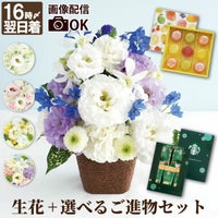 お供え花アレンジとご進物セット 生花