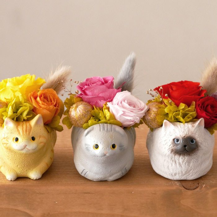 のんびり花にゃんこ』 プリザーブドフラワー｜横浜花まりか フラワー