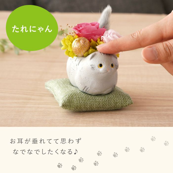 のんびり花にゃんこ』 プリザーブドフラワー｜横浜花まりか フラワー