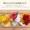 『のんびり花にゃんこ』 プリザーブドフラワー