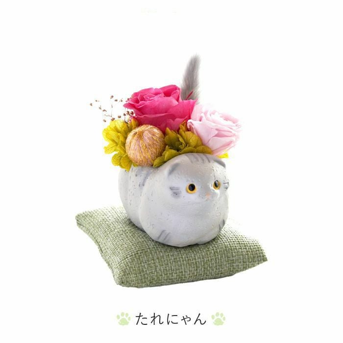 のんびり花にゃんこ』 プリザーブドフラワー｜横浜花まりか フラワー