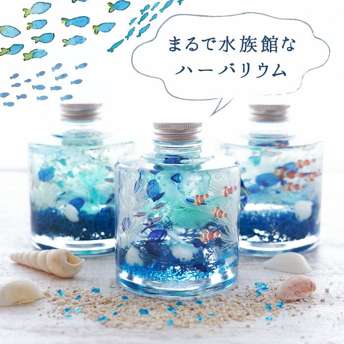 熱帯魚アクアリウム』 ハーバリウム｜横浜花まりか フラワーギフト店