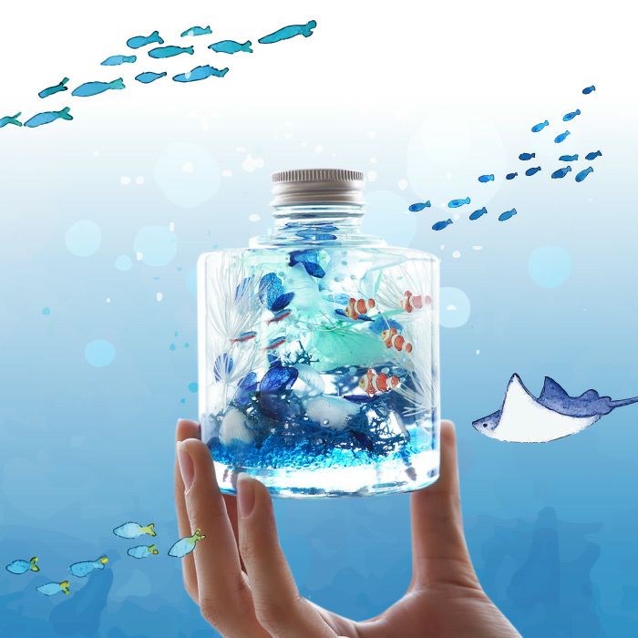 熱帯魚アクアリウム』 ハーバリウム｜横浜花まりか フラワーギフト店