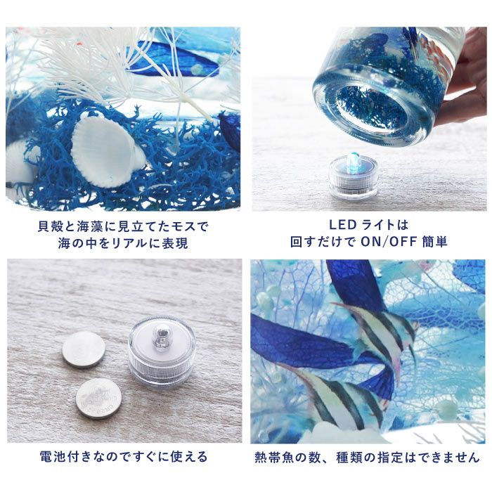 熱帯魚アクアリウム』 ハーバリウム｜横浜花まりか フラワーギフト店