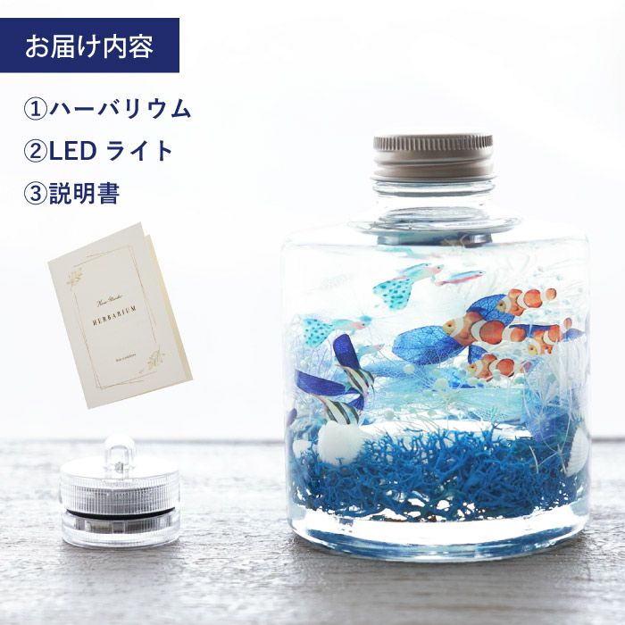 熱帯魚アクアリウム』 ハーバリウム｜横浜花まりか フラワーギフト店