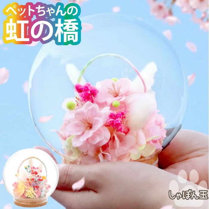 ペットちゃんの虹の橋 しゃぼん玉』 お供え プリザーブドフラワー