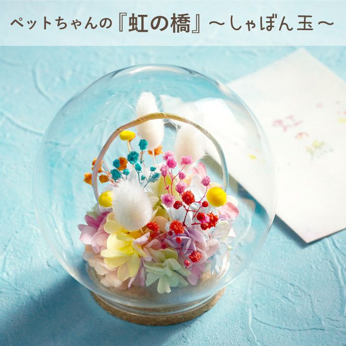 ペットちゃんの虹の橋 しゃぼん玉』 お供え プリザーブドフラワー