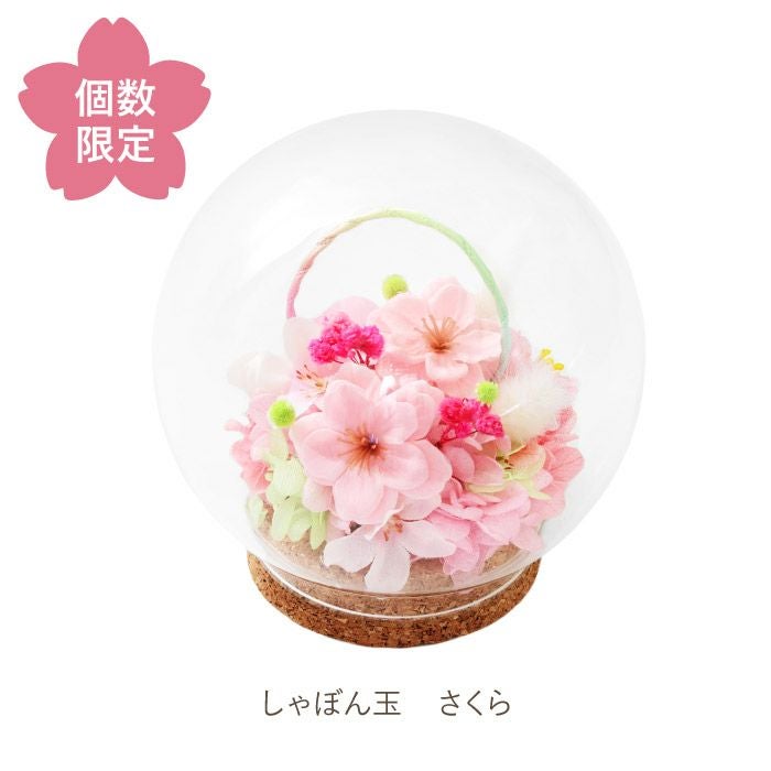 ペットちゃんの虹の橋 しゃぼん玉 お供え プリザーブドフラワー