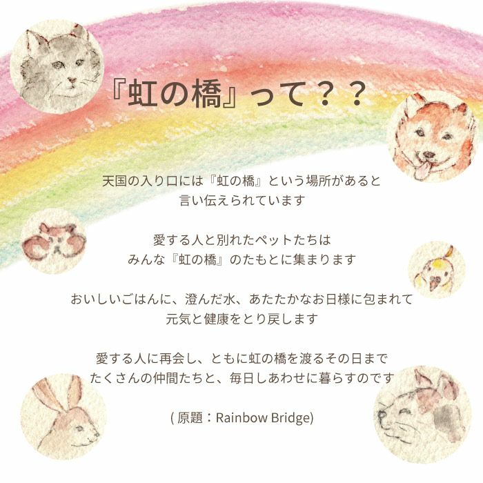 ペットちゃんの虹の橋　エターナル お供え プリザーブドフラワー
