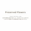ペットちゃんの虹の橋　エターナル お供え プリザーブドフラワー