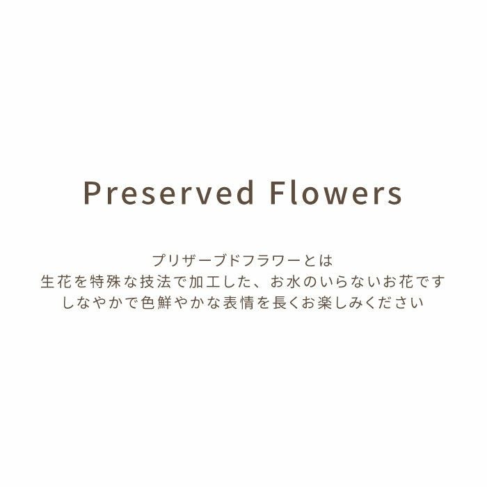 ペットちゃんの虹の橋　エターナル お供え プリザーブドフラワー