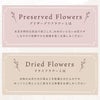 フラワーボックスフレーム ドライフラワー