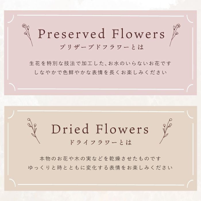 フラワーボックスフレーム ドライフラワー